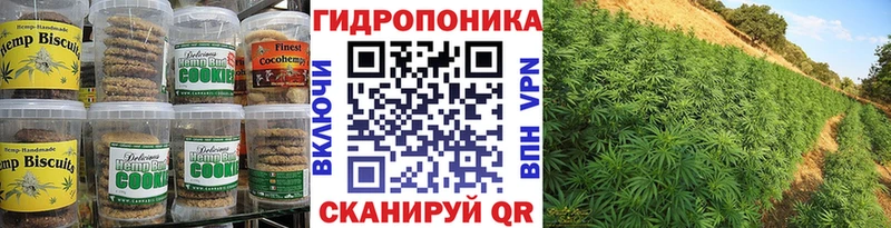 Canna-Cookies конопля  ОМГ ОМГ как войти  Онега 