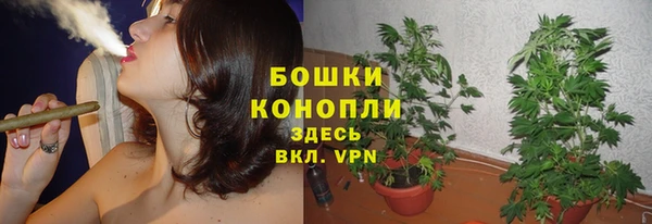 2c-b Горняк