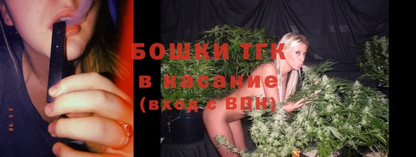 2c-b Горняк