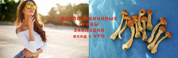 2c-b Горняк