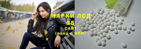 прущий лед Горно-Алтайск