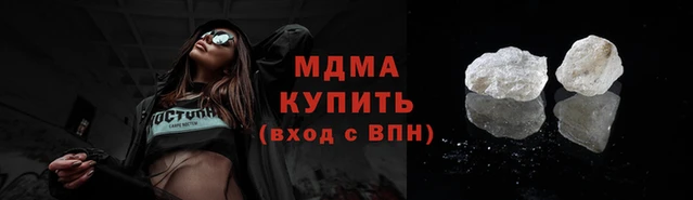 индика Вяземский