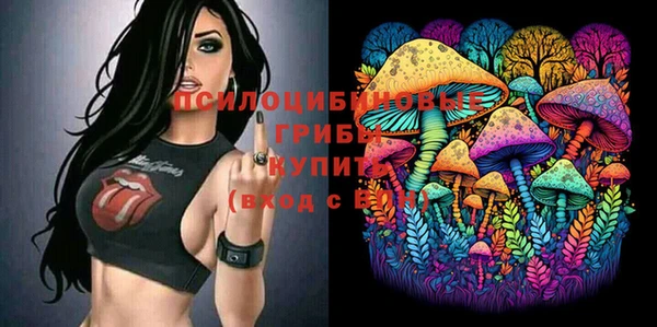 шишки Краснотурьинск