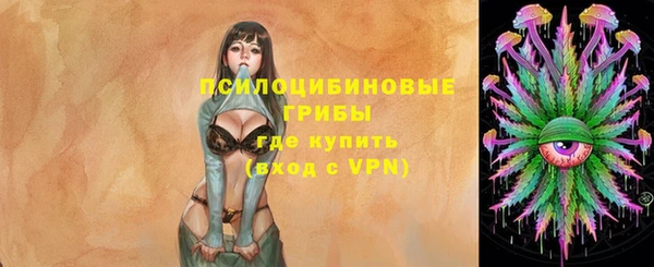 прущий лед Горно-Алтайск