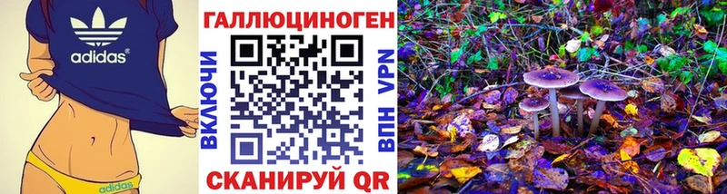KRAKEN tor  Онега  Галлюциногенные грибы прущие грибы 