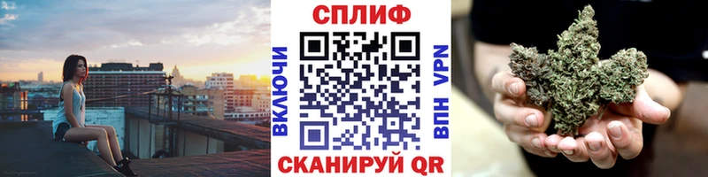 Бошки Шишки White Widow  OMG вход  Онега 